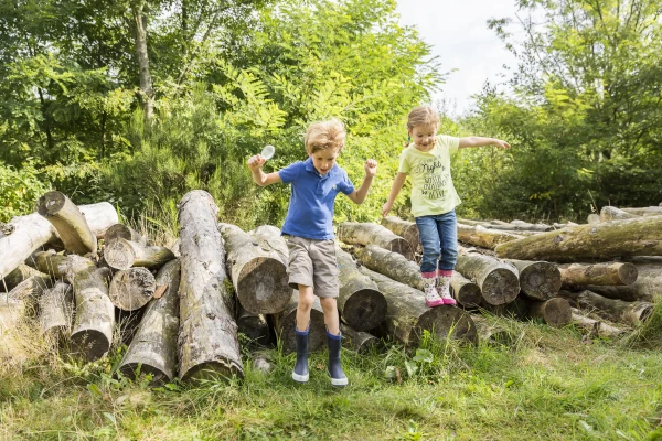 landal-hof-van-saksen (10).jpg