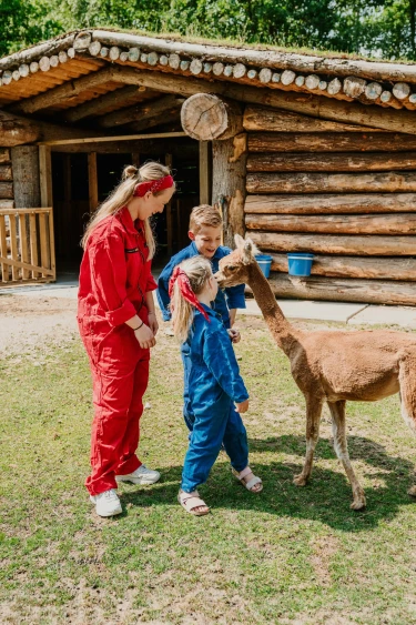 Kinderen aaien alpaca onder begeleiding van animatieteam Vakantiepark Dierenbos