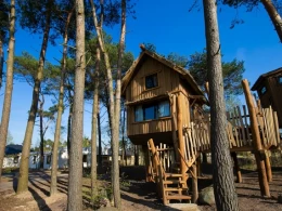 Boomhut Overnachting