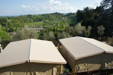 norcenni-girasole (2).jpg