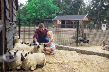 Center Parcs De Vossemeren