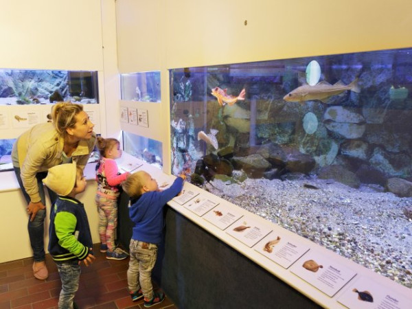 Center Parcs Nordseeküste