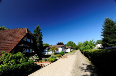 Vakantiepark Waldbrunn - Baden-Württemberg - Duitsland