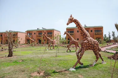 Aqua Fun Pickalbatros