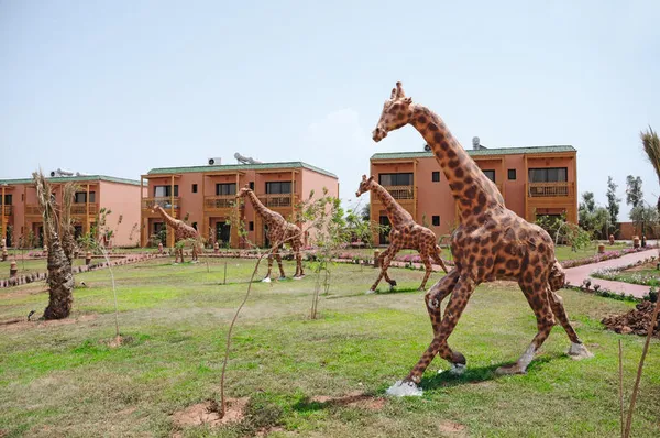 Aqua Fun Pickalbatros