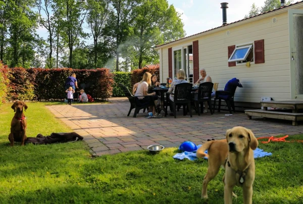 Camping Wedderbergen