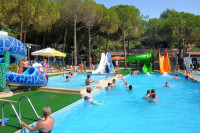 recently watched image