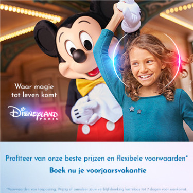 SB Disneyland nov25_overlayer