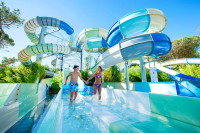 recently watched image