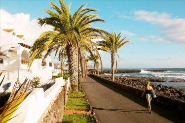 Appartementen Parque Santiago IV - Playa de las Americas, Tenerife, Spanje
