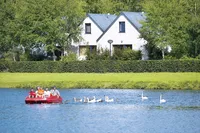 recently watched image