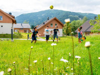 recently watched image