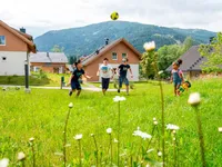 recently watched image