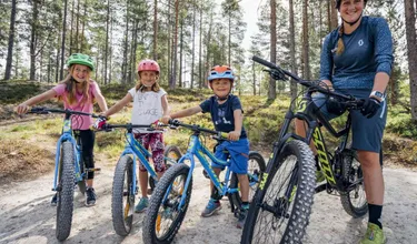 15- of 16-daagse rondreis 'Summer Adventure Sweden' - Zweden