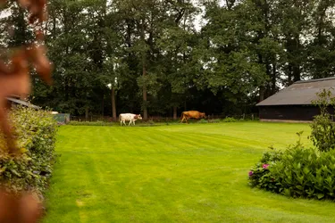 BoerenBed Landgoed Volenbeek
