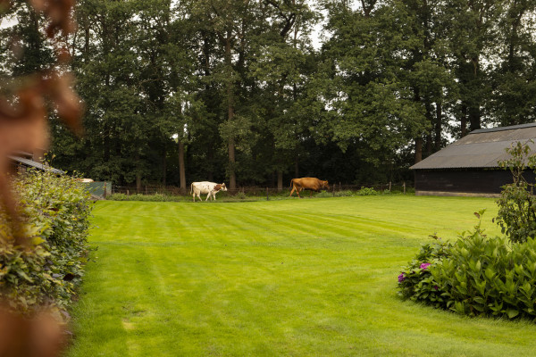 BoerenBed Landgoed Volenbeek