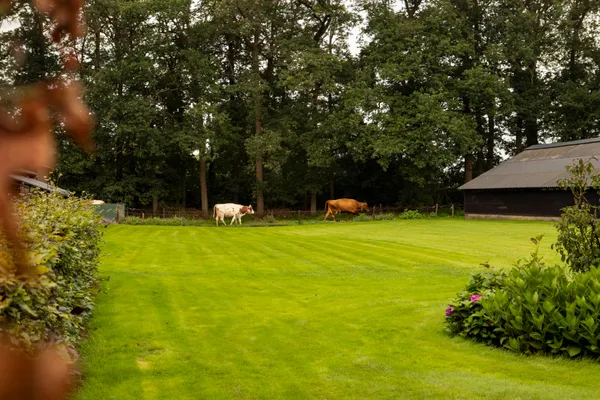 BoerenBed Landgoed Volenbeek