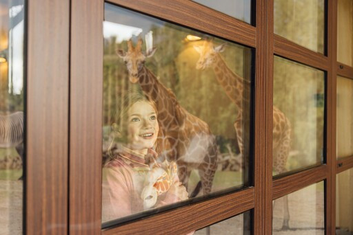 Een lachend meisje kijkt vanuit haar lodge naar de giraffen buiten bij Safari Hotel Beekse Bergen