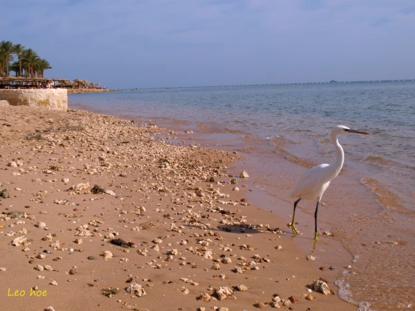 Hotel Arabella Azur Resort