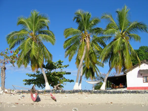 Rondreis Madagaskar