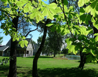 Vakantiepark Molenheide
