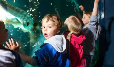 17-daagse rondreis Jonna - Noorwegen