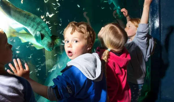 17-daagse rondreis Jonna - Noorwegen