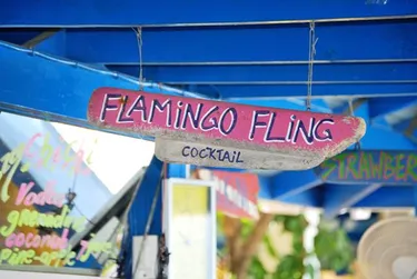 Divi Flamingo Beach Resort