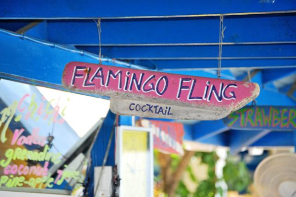 Divi Flamingo Beach Resort