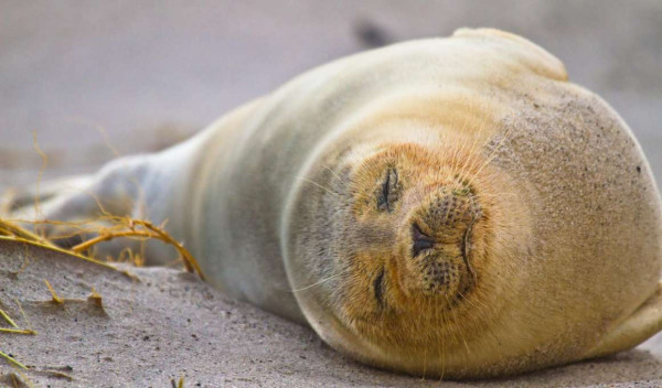 15-daagse autorondreis 'Teagan' door Engeland & Ierland