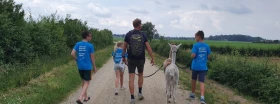 Met kids op avontuur in de Achterhoek in de zomer