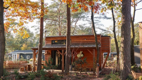 droomzomer-droompark-de-zanding (5).jpg