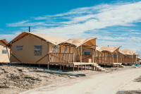 recently watched image