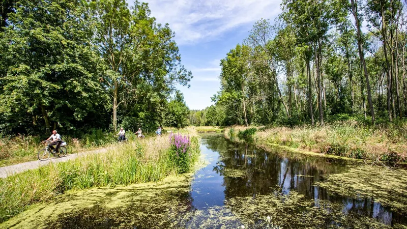 parc-de-ijsselhoeve (19).jpg