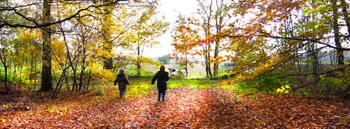 Herfstvakantie aanbiedingen