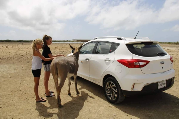 Verre vakanties bij TUI