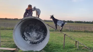 BoerenBed: boerderijvakantie