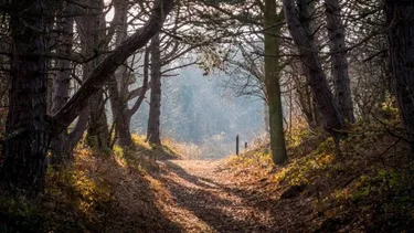 Badhotel Rockanje aan Zee