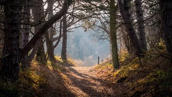 Badhotel Rockanje aan Zee