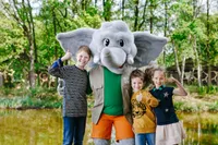 recently watched image