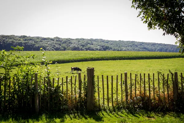 gulperberg-panorama (3).jpg