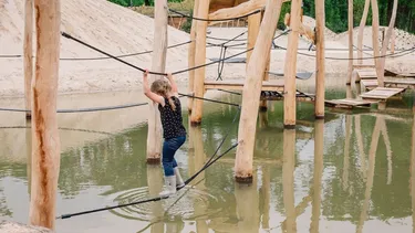 vakantiepark-efteling-loonsche-land (6).jpg