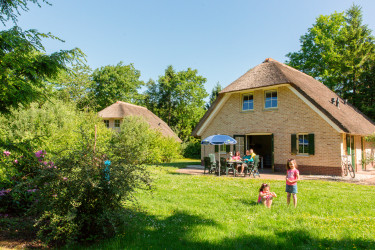 land-van-bartje (3).jpg