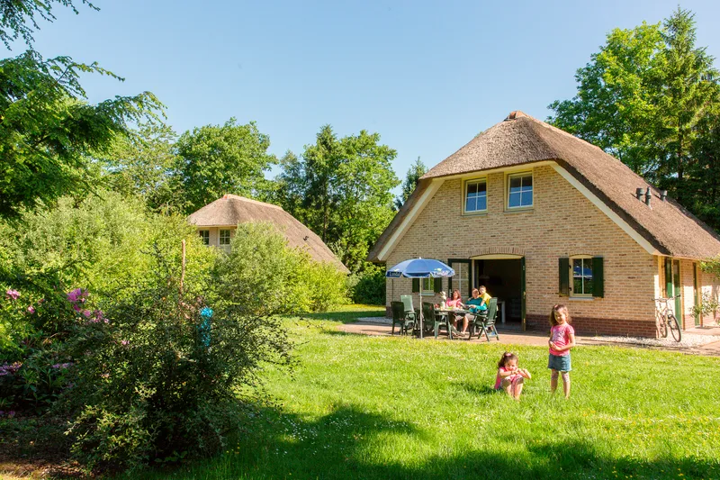 land-van-bartje (3).jpg