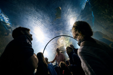 west zweden vakantie, havets hus