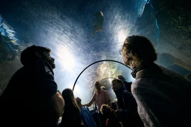 west zweden vakantie, havets hus