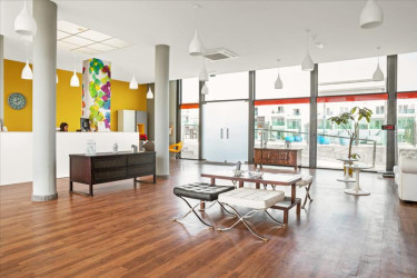 Smartline Lanzarote Palm