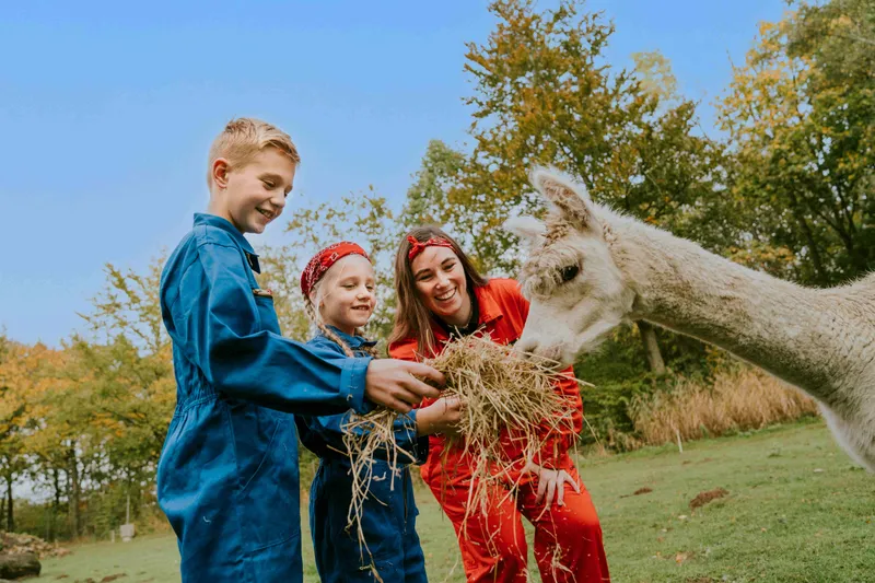Kinderen voeren lama onder begeleiding van animatieteam in diervriendelijk Vakantiepark Dierenbos