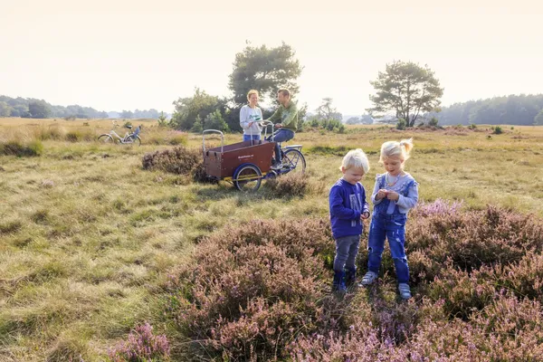 5-sterren camping Gelderland