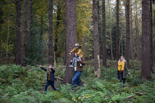 Wat kun je doen in de Drentse bossen in de herfstvakantie?